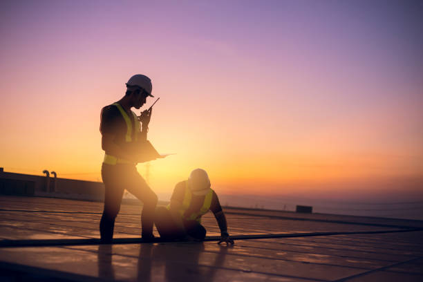 Best Roof Insulation Installation  in Pierz, MN