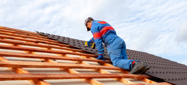 Best Emergency Roof Repair  in Pierz, MN